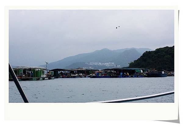 DSC_0870.jpg DSC_0870.jpg