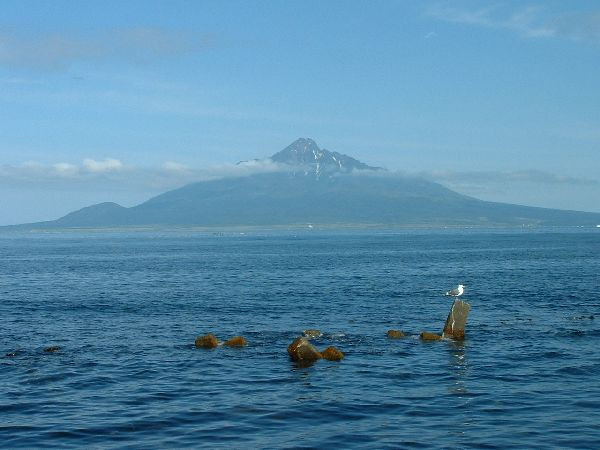 065禮文島眺利尻島