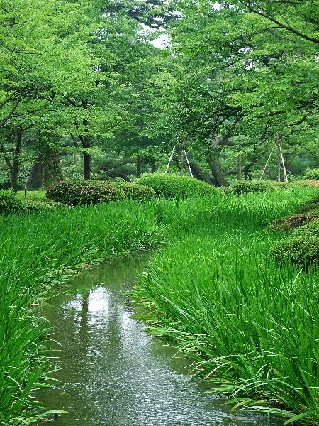 040624-029金澤兼六園