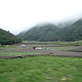 高山上的高麗菜田