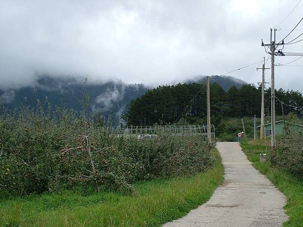 福壽山農場