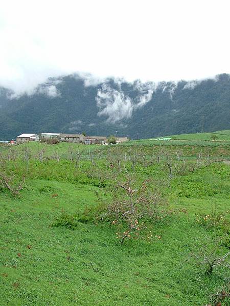 福壽山農場