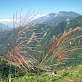 雲頂咖啡的山景