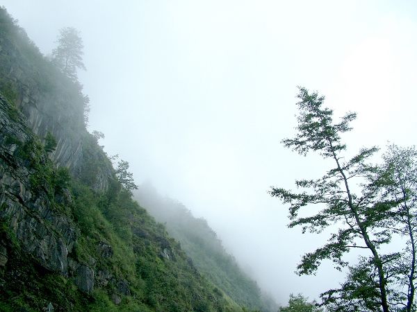 霧中風景