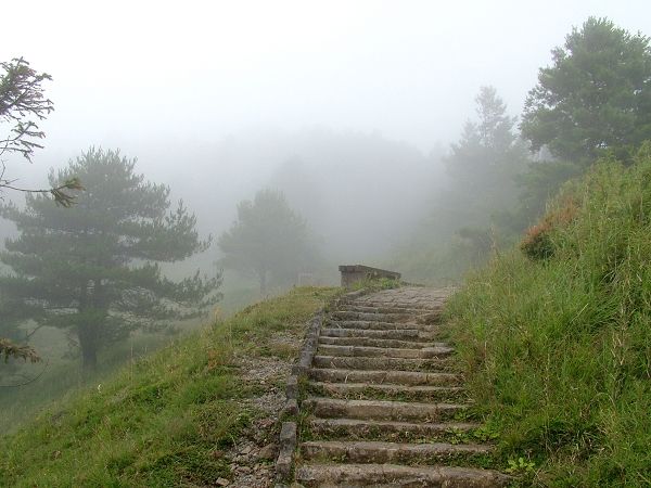 雲霧山林