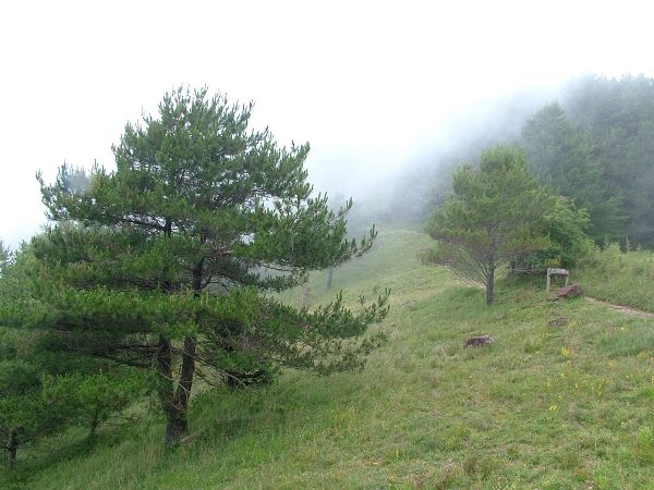 麟趾山鞍部