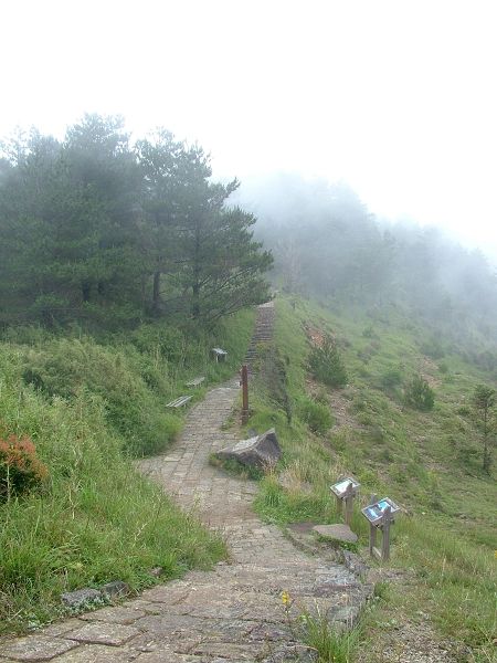 麟趾山鞍部步道