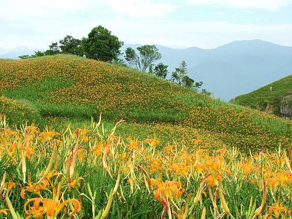 六十石山處處是風景