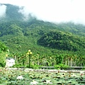 民宿園景