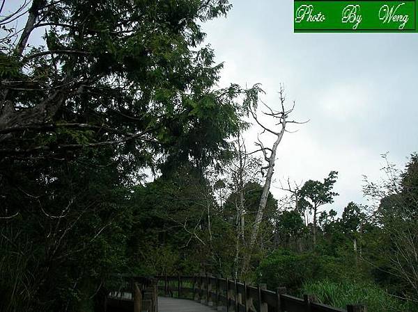 SANY0109.JPG SANY0109.JPG