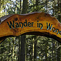 76116_Price-Sculpture-Forest-Wander-in-Wonder_02.jpg