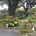 228公園-園景3.jpg