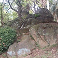 至善園-13.jpg