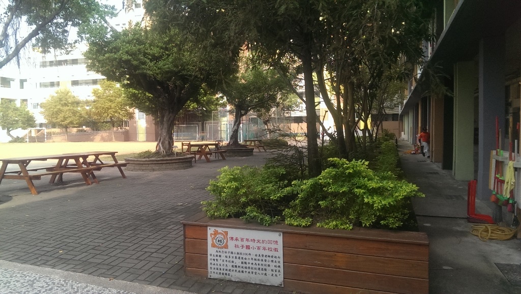 社子國小-校園3.jpg