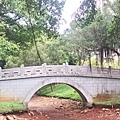 中央大學21-中大湖拱橋.jpg