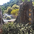 元智大學3-元智花園.jpg