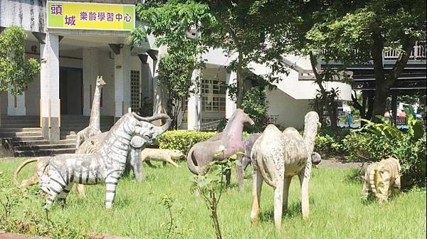 頭城國小12-校園動物群2.jpg