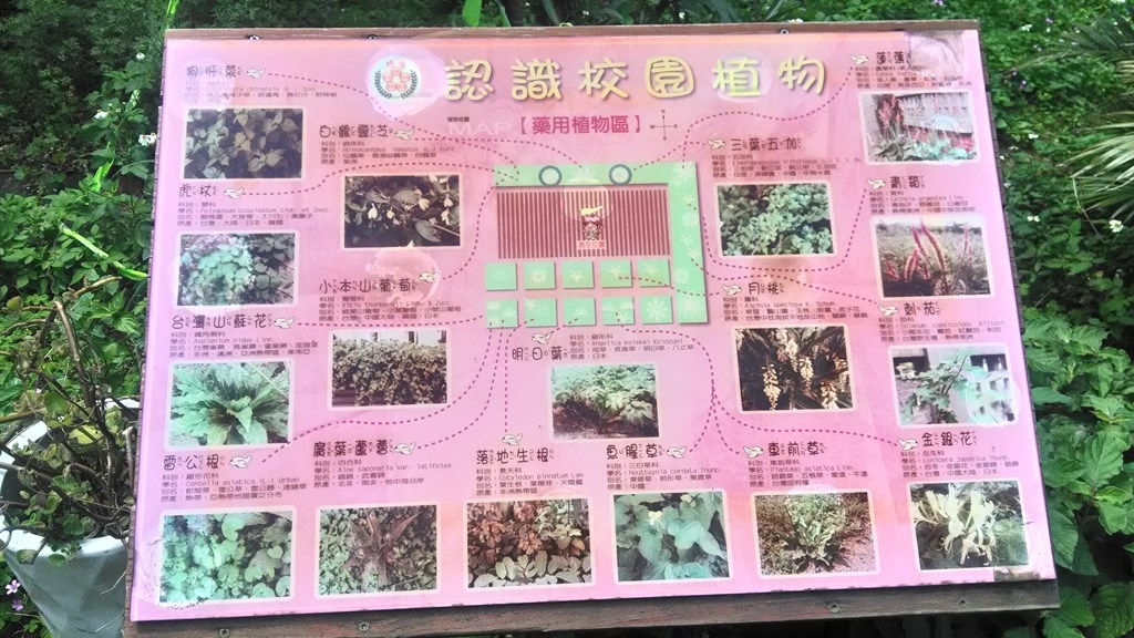 菓林國小25-校園植物介紹.jpg