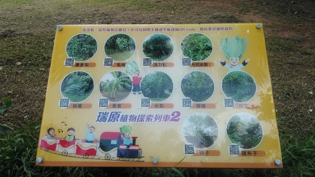 瑞原國小9-校園植物.jpg