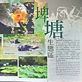 關渡自然公園26-埤塘生態區.jpg