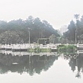 臺北青年公園27-湖景.jpg