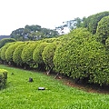 花博公園新生園區-毛毛蟲圖案.jpg