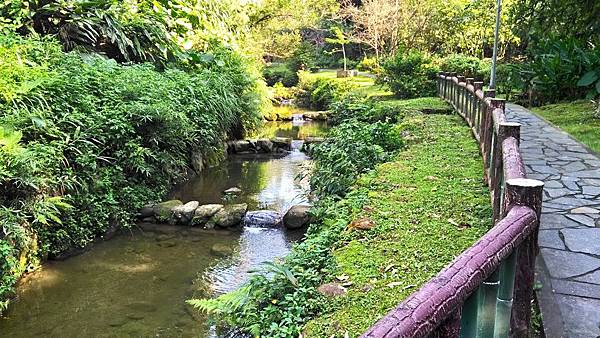 小坑老樹公園-溪岸步道.jpg