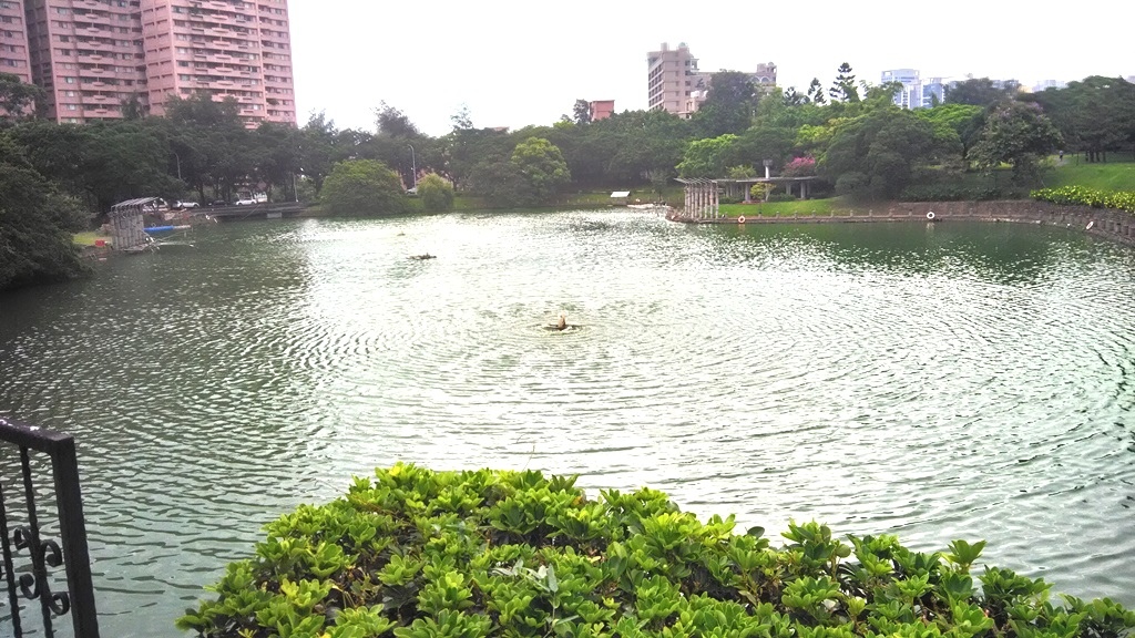 竹湖步道-1.jpg