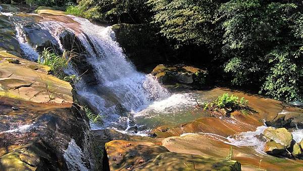 姜子寮公園瀑布-瀑布觀景2.jpg