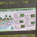 親水園區-水生植物介紹2.jpg