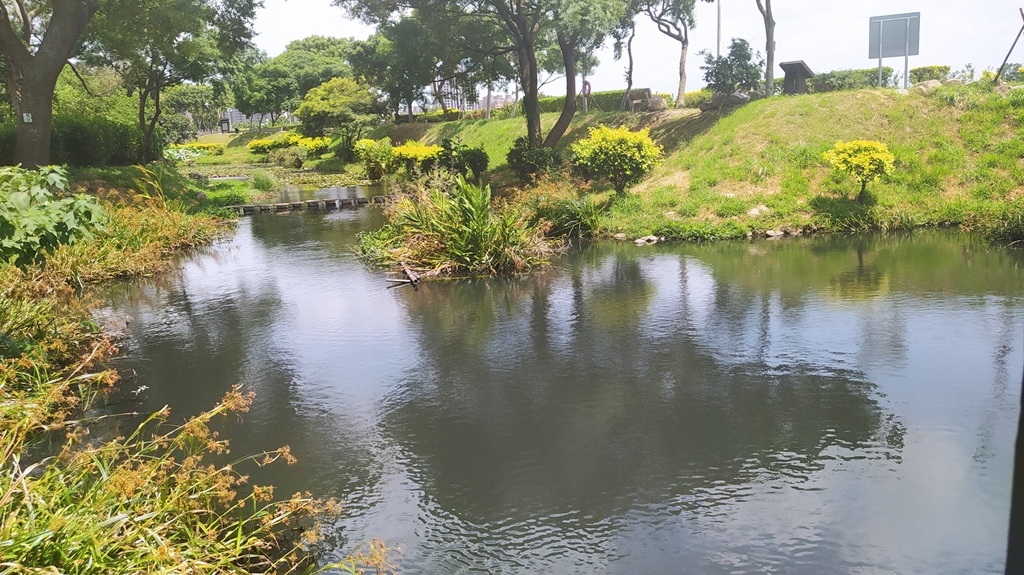 親水園區-水生態植栽2.jpg