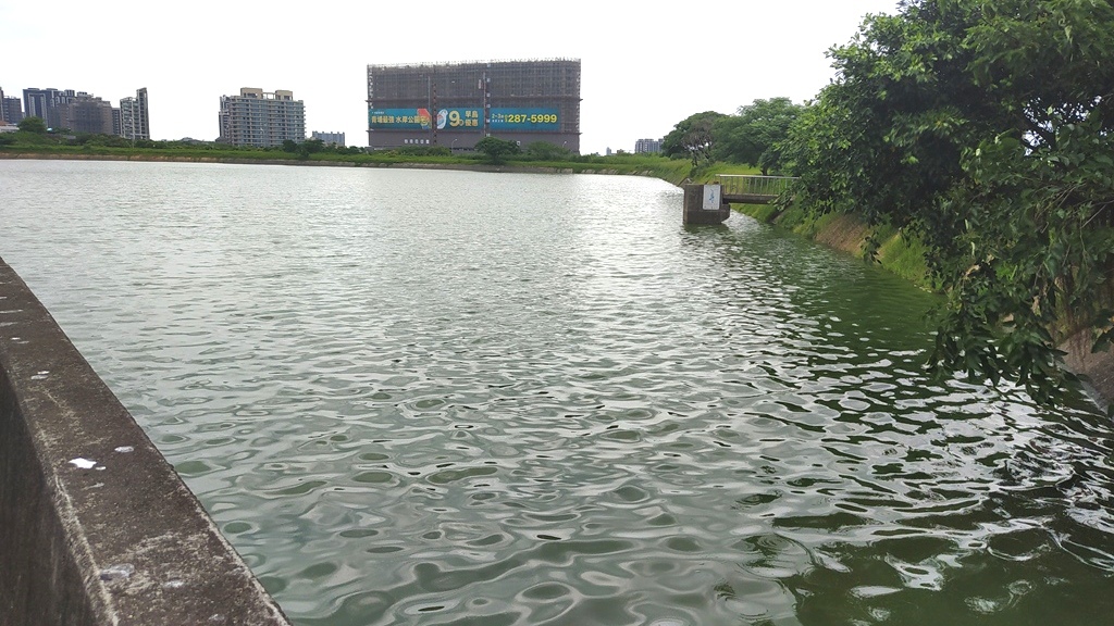 青埔公二公園-水圳.jpg