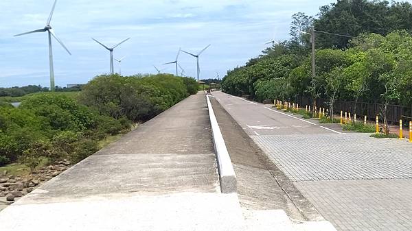 藻礁動物保護園區-藻礁路大道.jpg