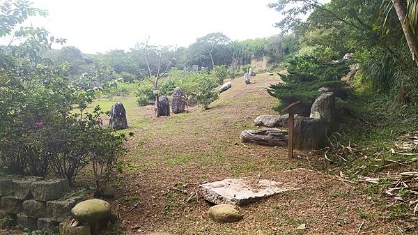 東森步道14-左岸森林.jpg