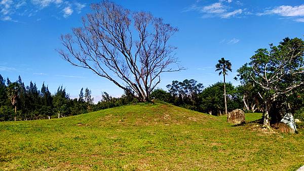 山豬湖生態公園16-星空草原2.jpg