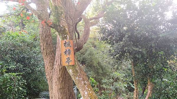 鳶山步道9-楓樟亭標識牌.jpg