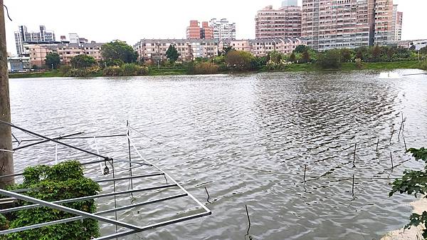 祥鷺生態埤塘-15池塘水景2.jpg