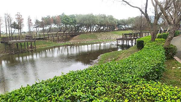 桃園1-4生態埤塘-6園區植栽.jpg