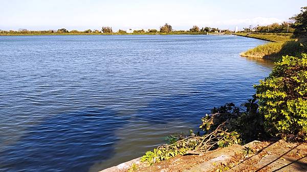 坡内埤-湖景.jpg