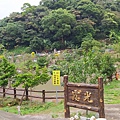 新嶺步道13-霞光莊園1.jpg