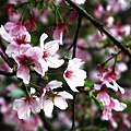 IMG_4882.jpg