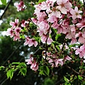 IMG_4883.jpg