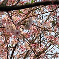 IMG_4891.jpg