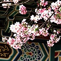 IMG_4894.jpg
