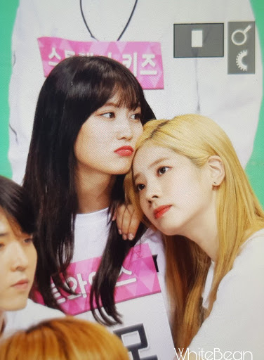 Twice豆腐生贺 魔豆 回到你身边 肥兔的部落格 痞客邦