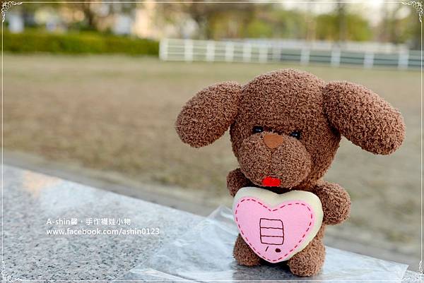 DSC_4098 DSC_4098