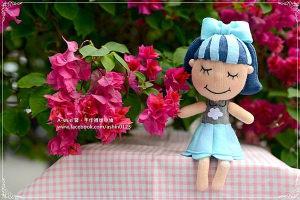 DSC_4375 DSC_4375