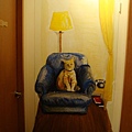 貓咪的壁畫