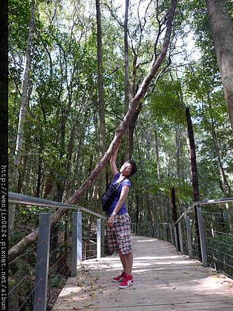 Scenic World