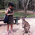 Currumbin Wildlife Sanctuary